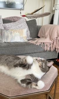 The recumbent attack maneuver